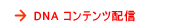 DNA �R���e���c�z�M